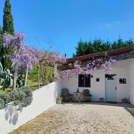 La Glycine Apartment *